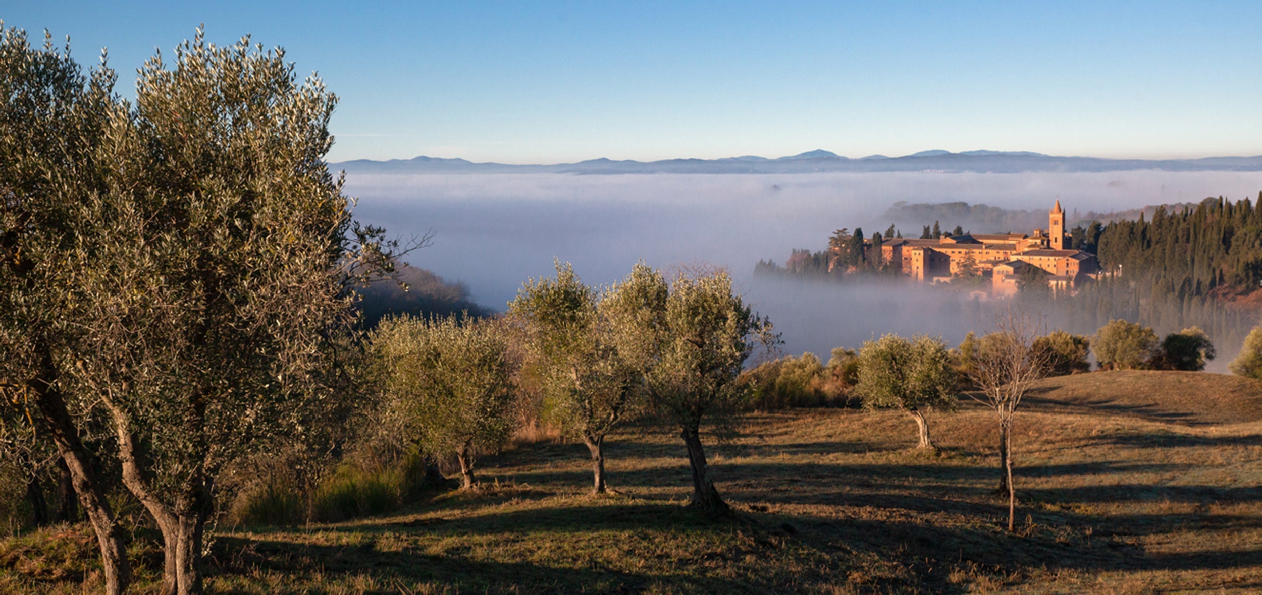 Crete Senesi