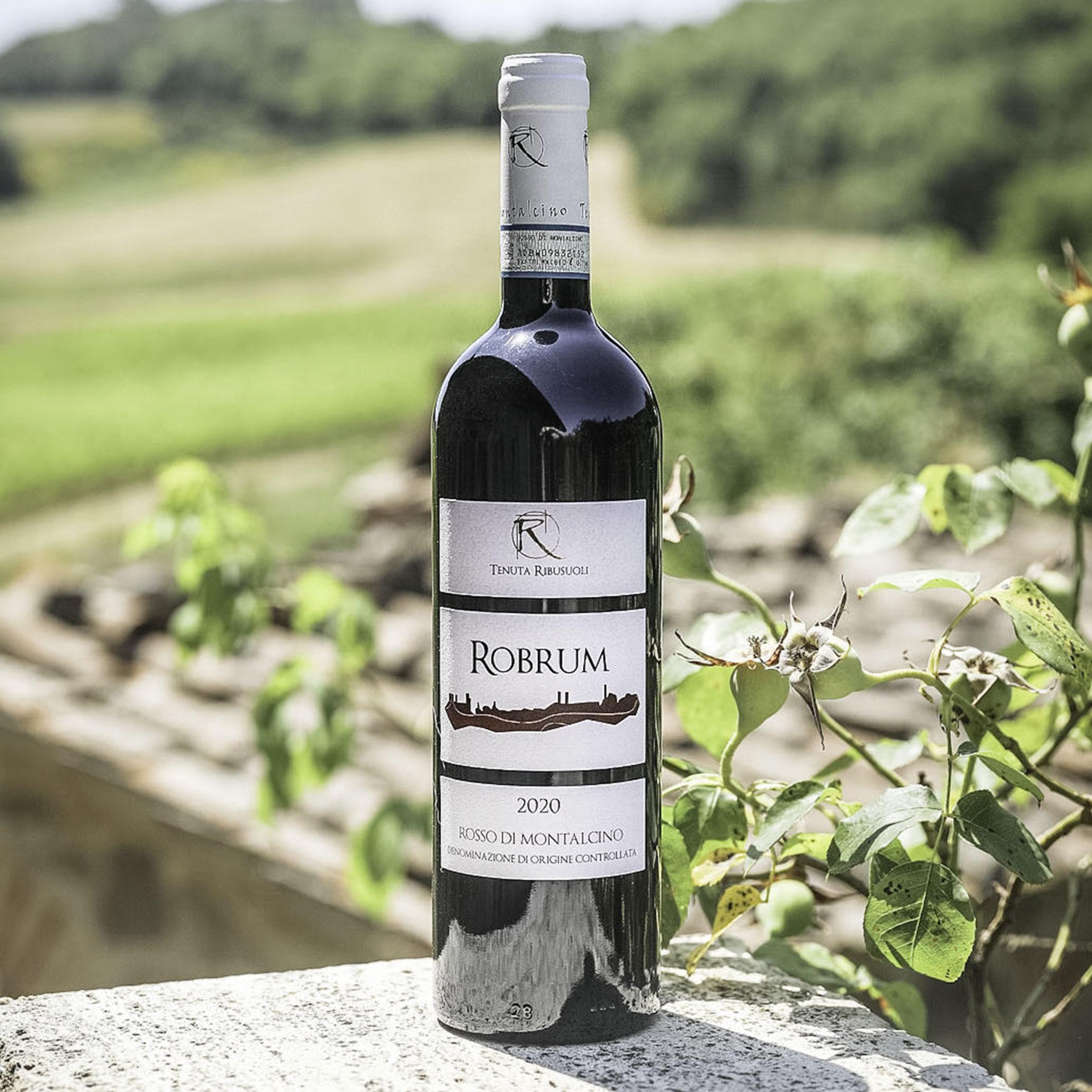 Robrum, Rosso DOC di Montalcino