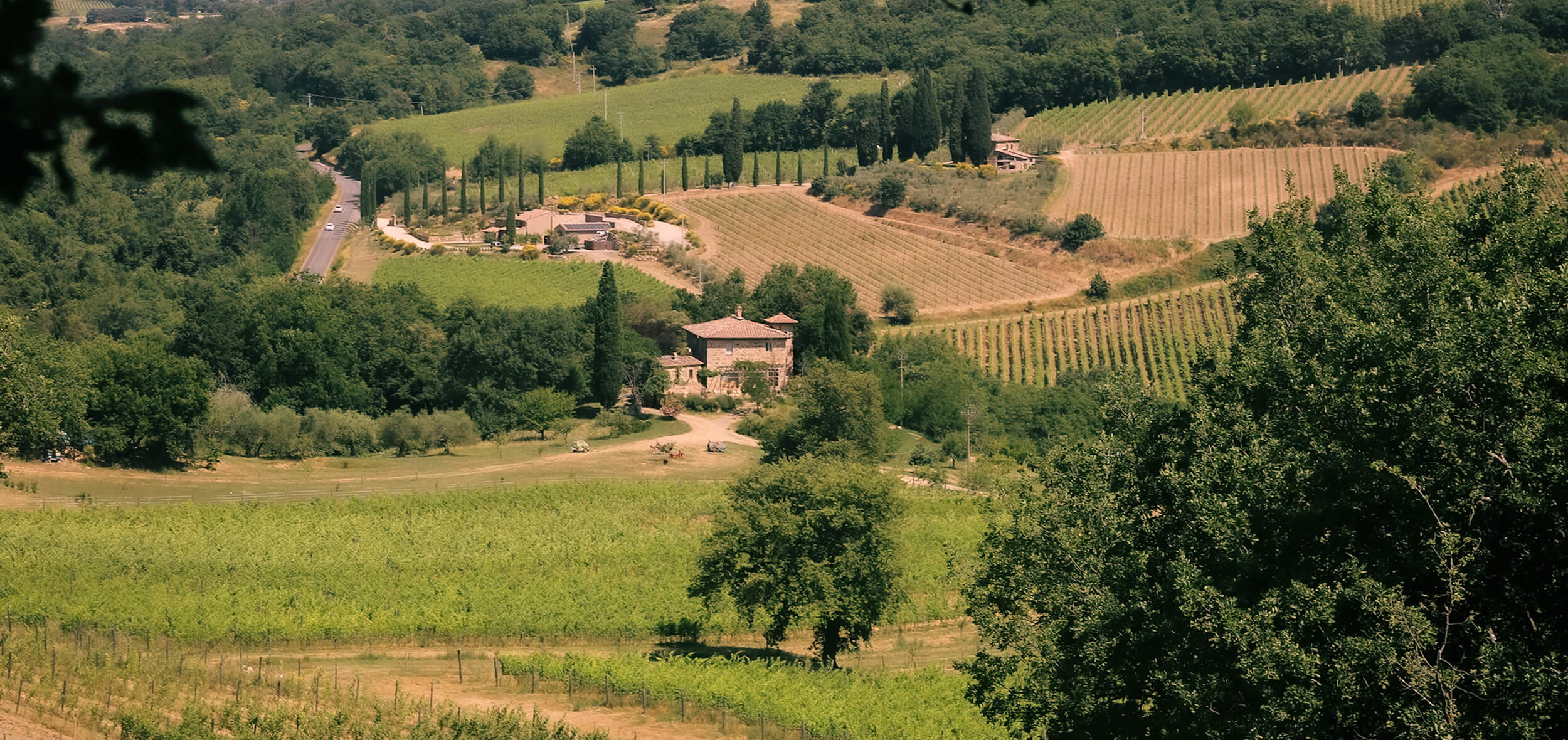 Tenuta Ribusuoli