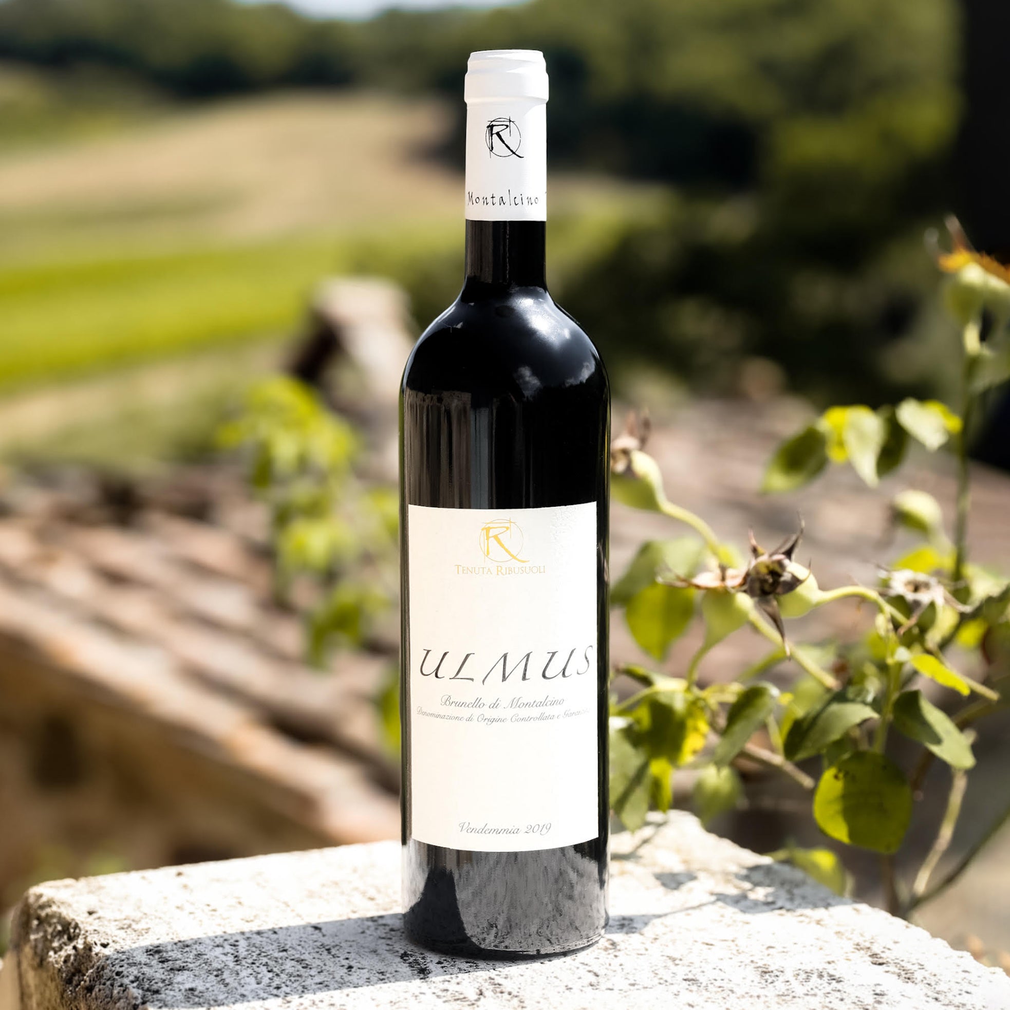 Ulmus, Brunello di Montalcino DOCG